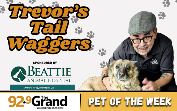 Trevor's Tail Waggers
