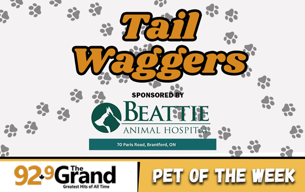 Tail Waggers