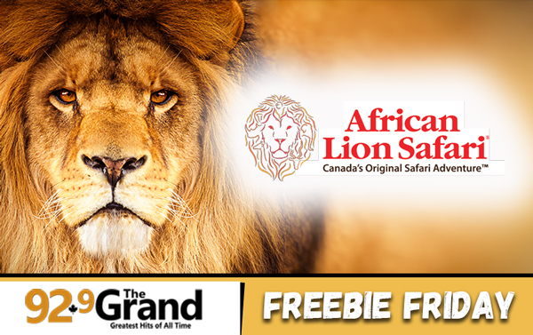 African Lion Safari Freebie Friday!